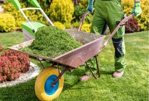 Mantenimiento Jardines Costa del Sol